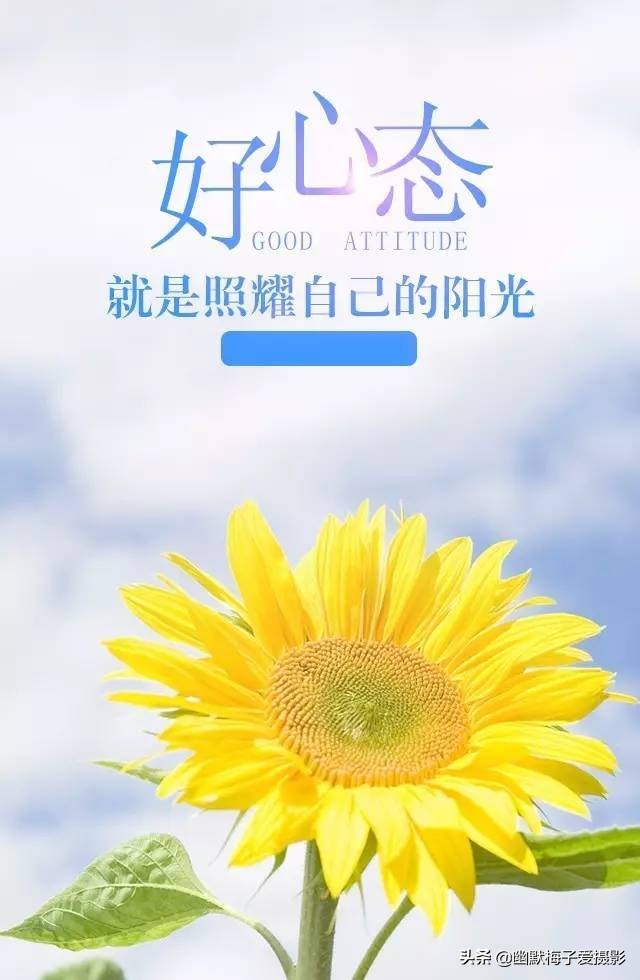 今日特码科普！2023免vip影视追剧app,百科词条爱好_2024最快更新