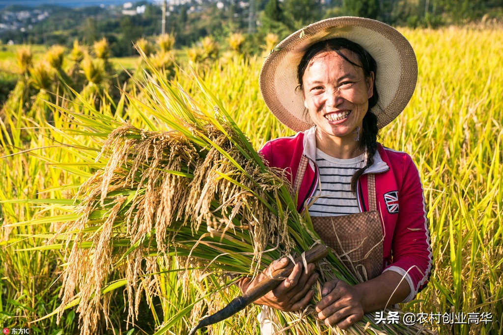 今日特码科普！2020福利电影网,百科词条爱好_2024最快更新